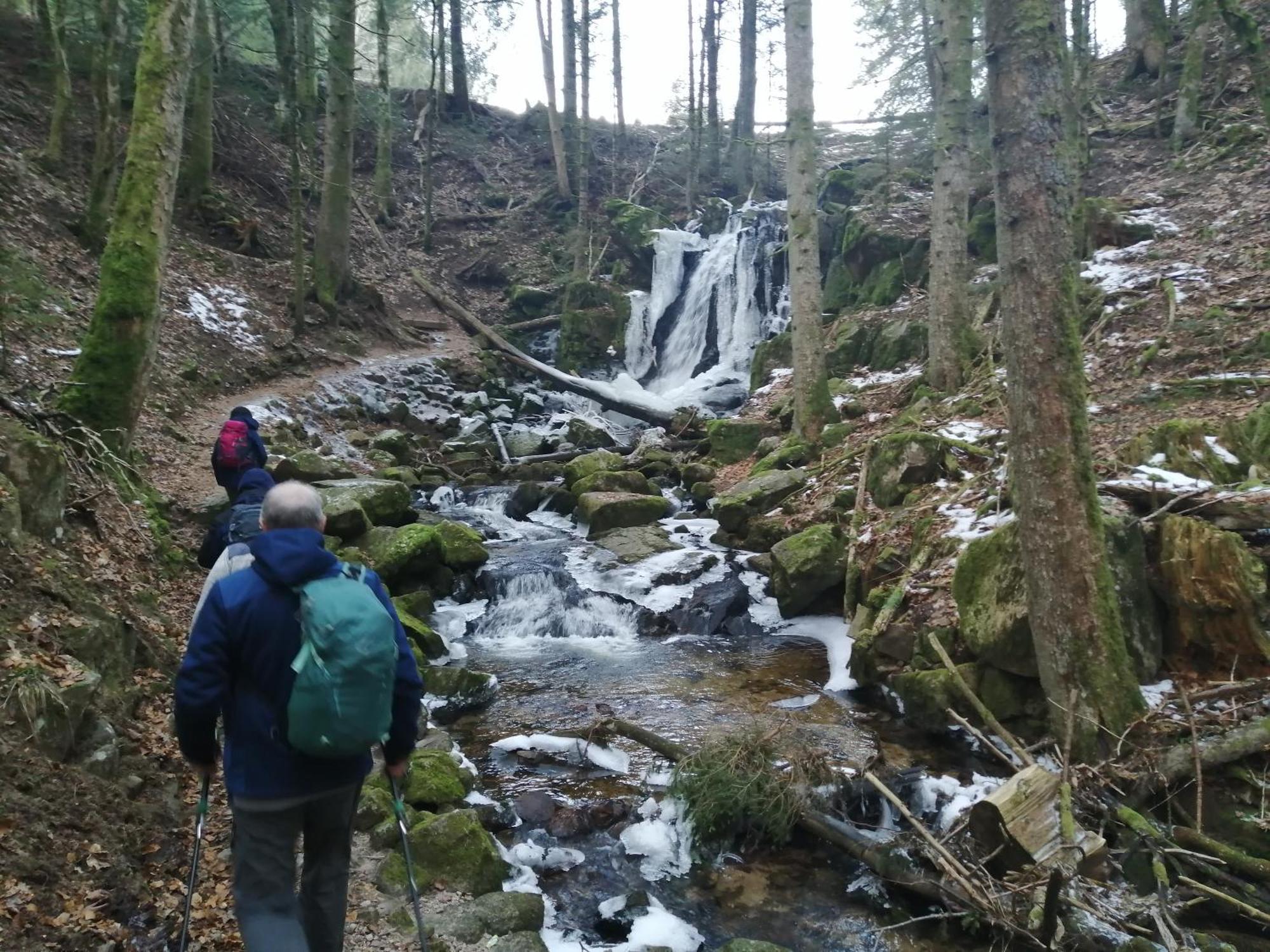 Blackforest Perla Höchenschwand Buitenkant foto